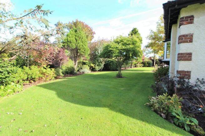 Side Garden (L...