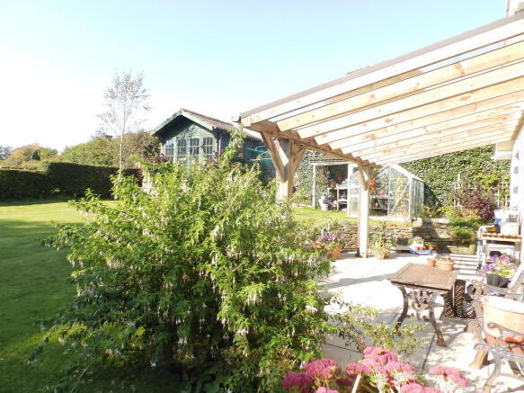 Photo 11