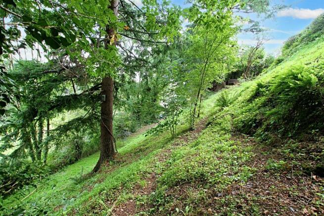 Woodland and gardens