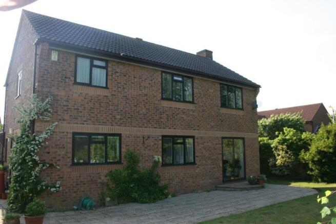 Rear Patio