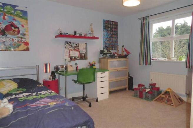 Photo 11
