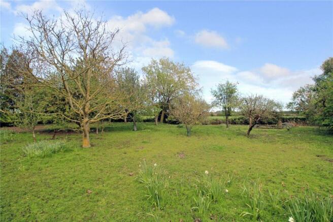 Grounds