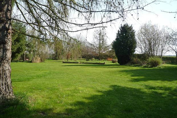 Garden View 2