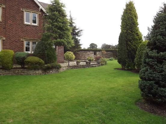 Side Garden