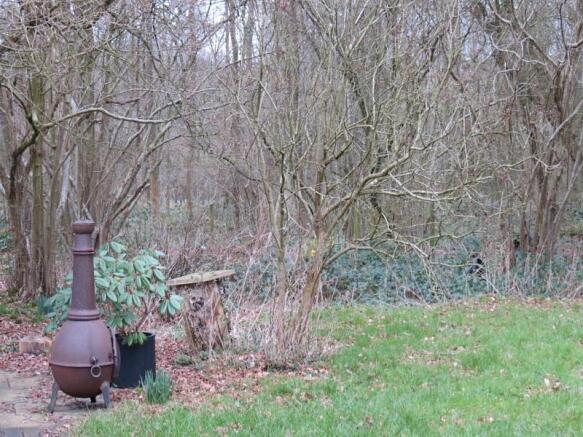 Woodland