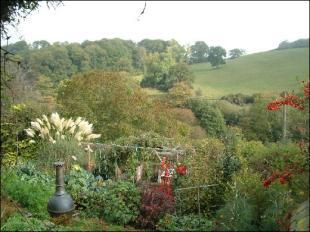 Garden 2