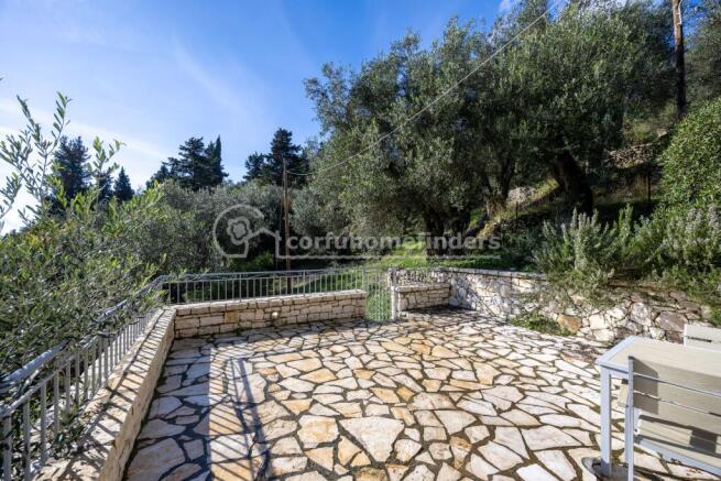 Terrace to olive grove