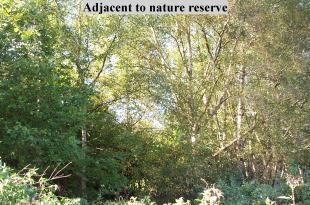 NATURE RESERVE VIEW