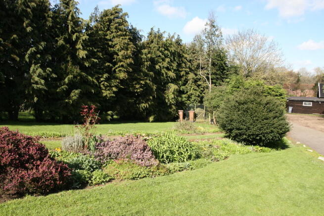 Photo 7