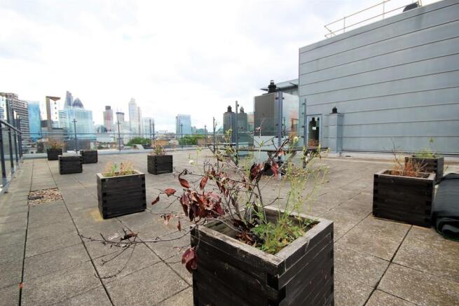 Roof Terrace