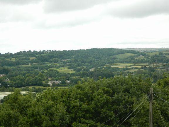 view