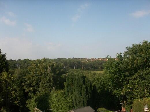 Photo 24