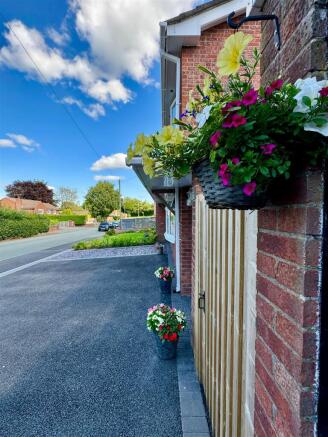 Photo 42