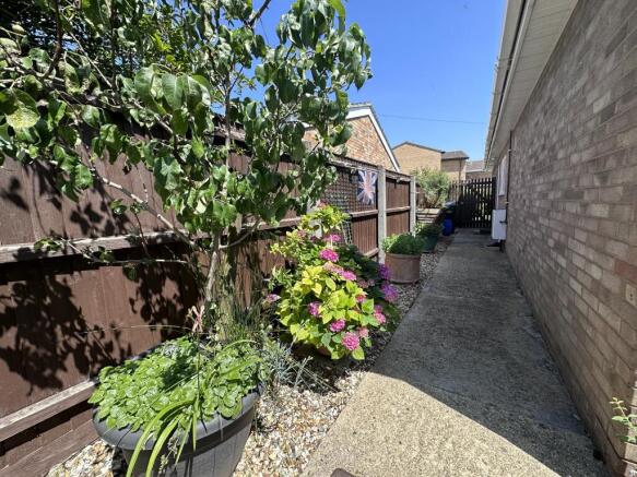 Side Garden