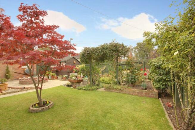 Garden at Back