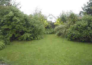Rear Garden View 2