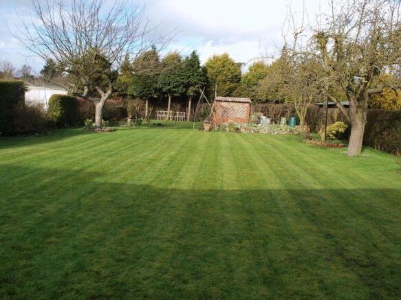 Rear garden 2