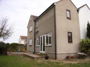Rear Aspect