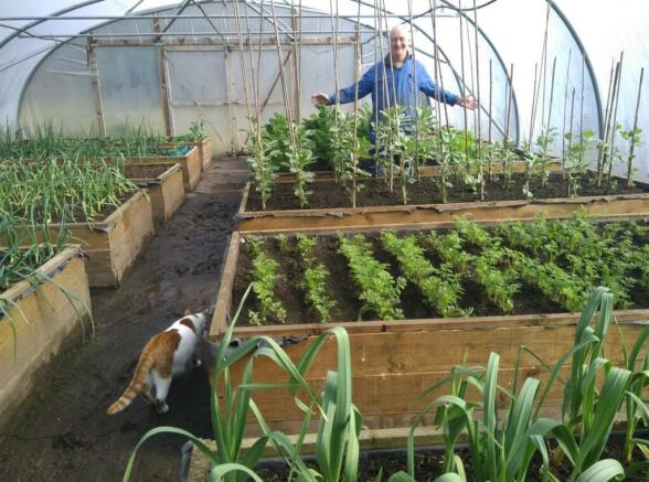 Polytunnel