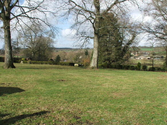 Main Paddock / View