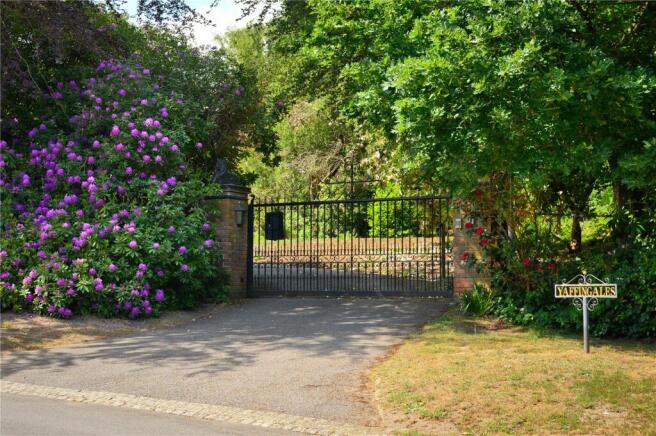 Driveway