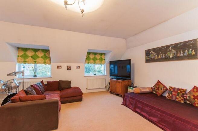 Bedroom/family room