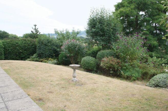 Garden 1