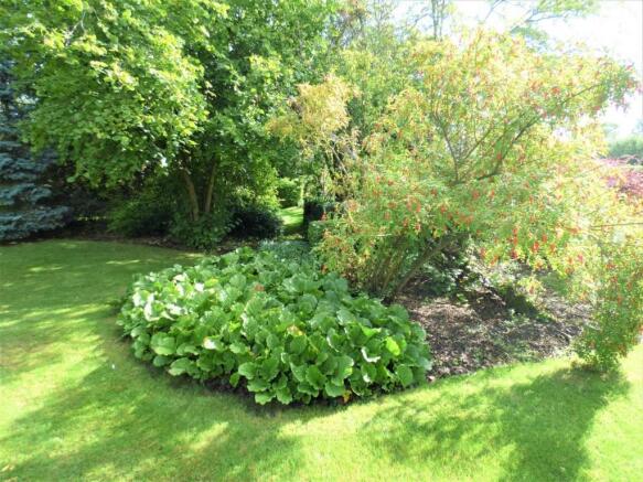 rear gardens