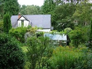 Current Property