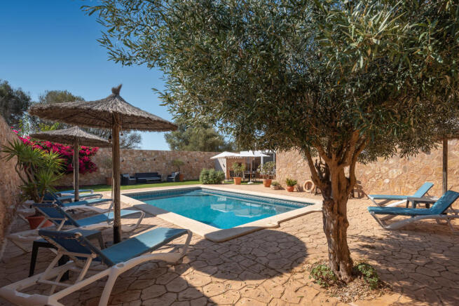 Garden and pool