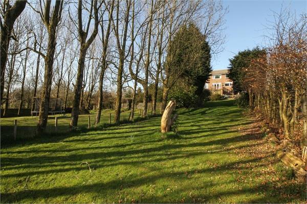Garden 2 