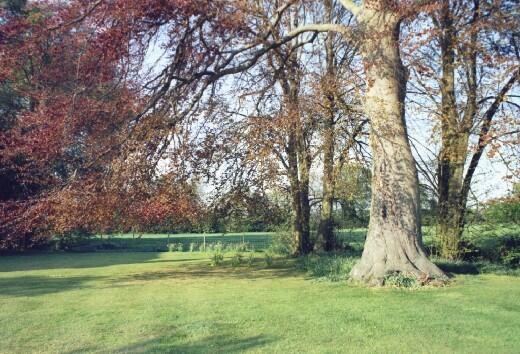 East Garden