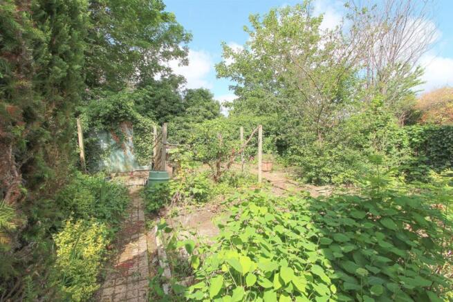 GARDEN B.jpg