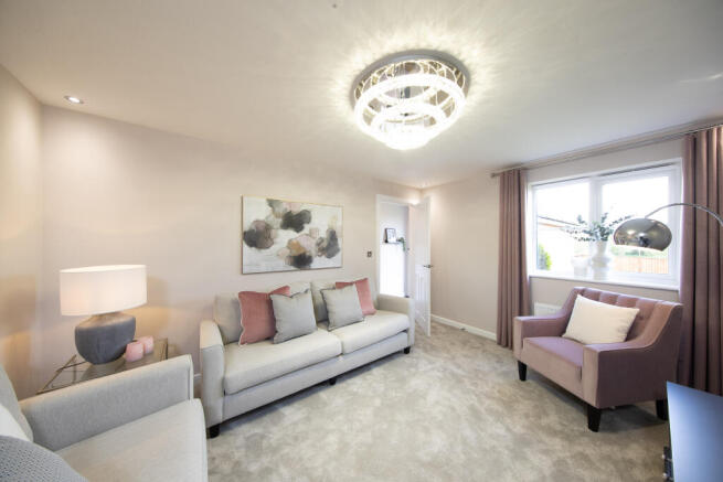Showhome Photography