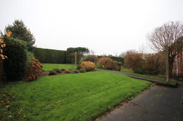 Garden Image 1