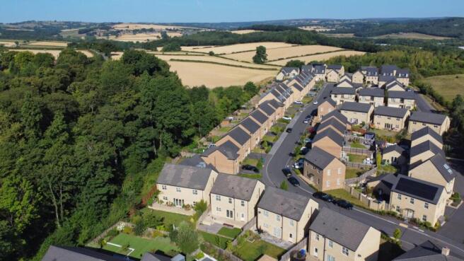 location photo (2).jpg