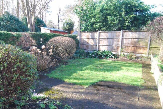 Photo 12
