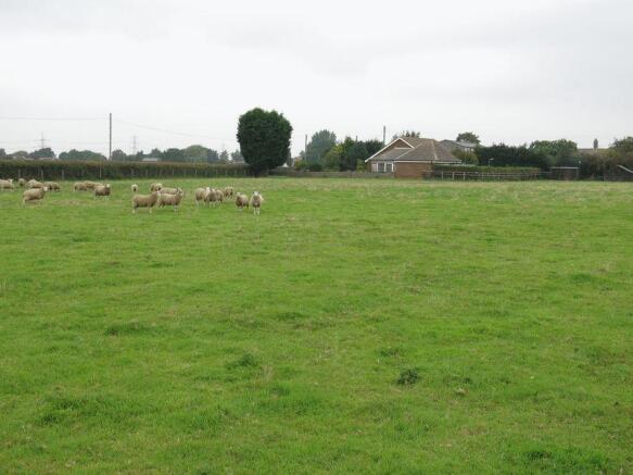 Paddock land