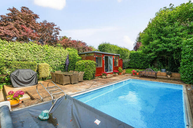 Garden / Pool