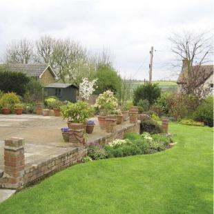 garden shot 2