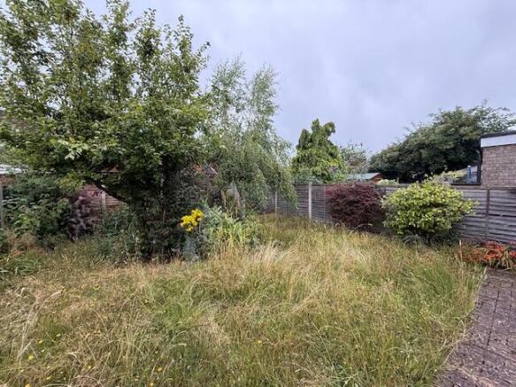 IMG 8827 T202508141203.jpg