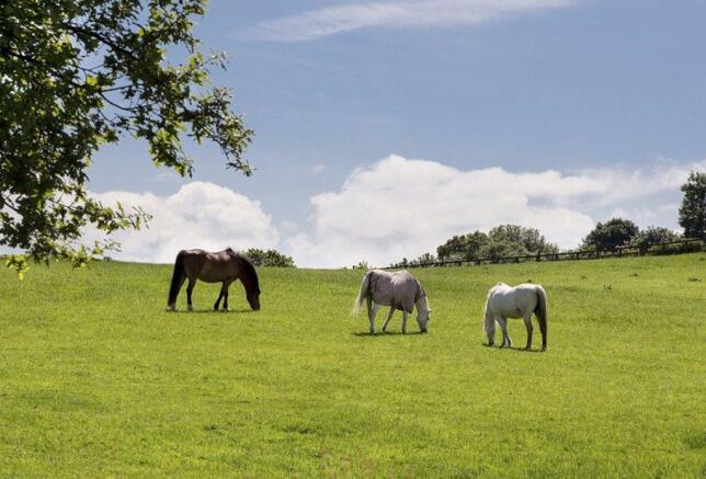 The Elms