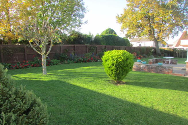Photo 15