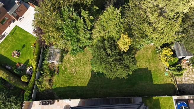 dji_fly_20240830_35004 PM_0150_1725029518151_photo