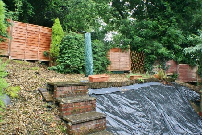 Back Garden