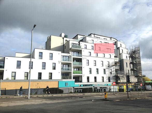 p IMG_20241113_12...
