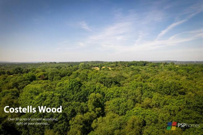 Costells Wood