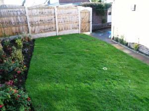 Photo 11
