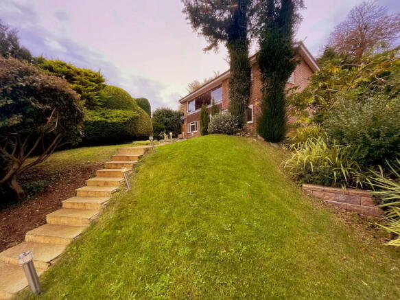 Photo 42