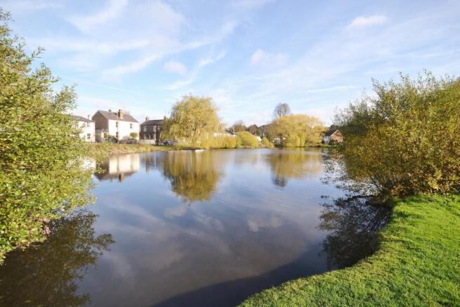 pond